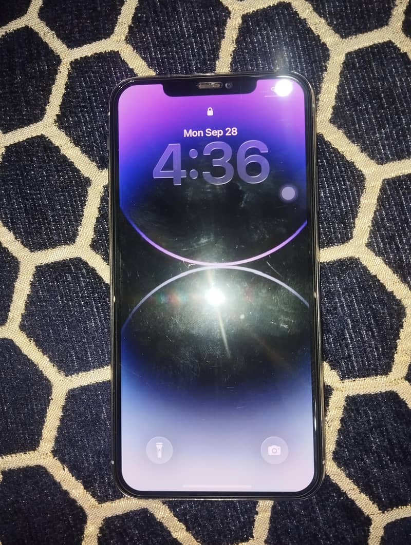 Apple iPhone 11 Pro Max 1