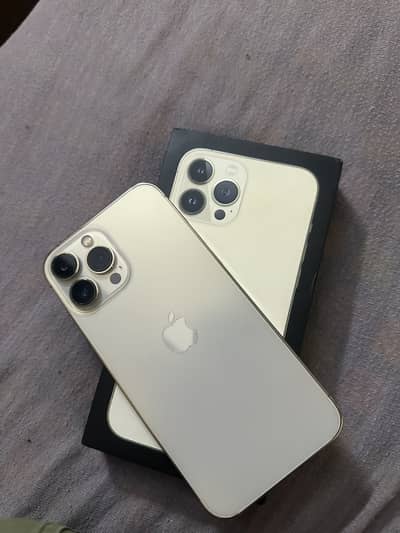 Apple iPhone 13 Pro Max