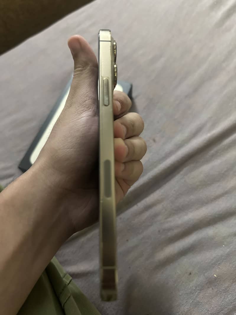 Apple iPhone 13 Pro Max 1