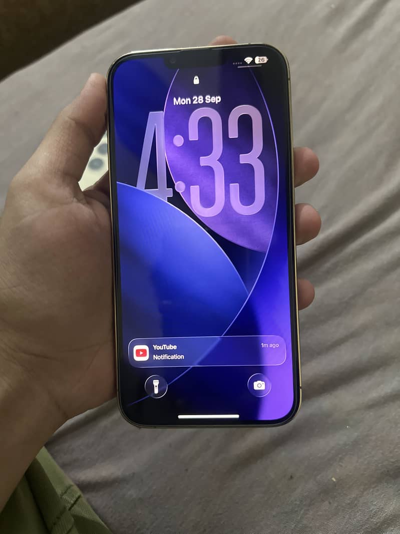 Apple iPhone 13 Pro Max 6