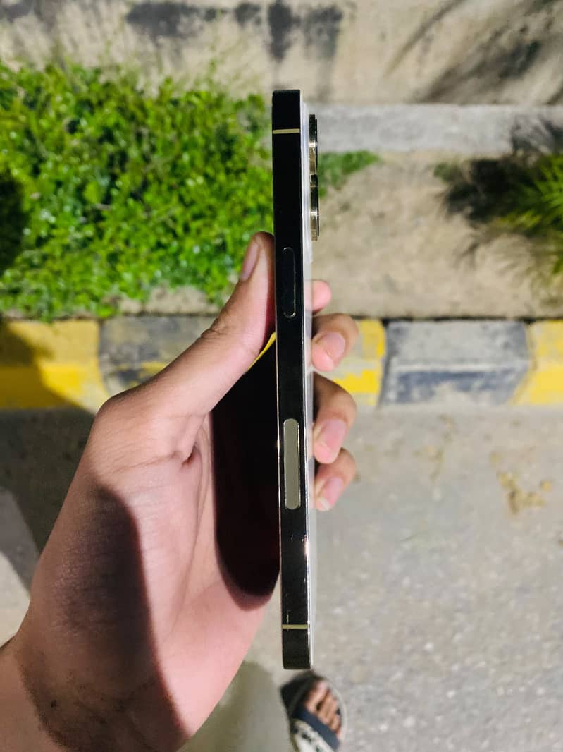iPhone 14 Pro Max 1