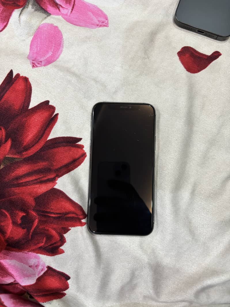 Apple iPhone 11 Pro 2