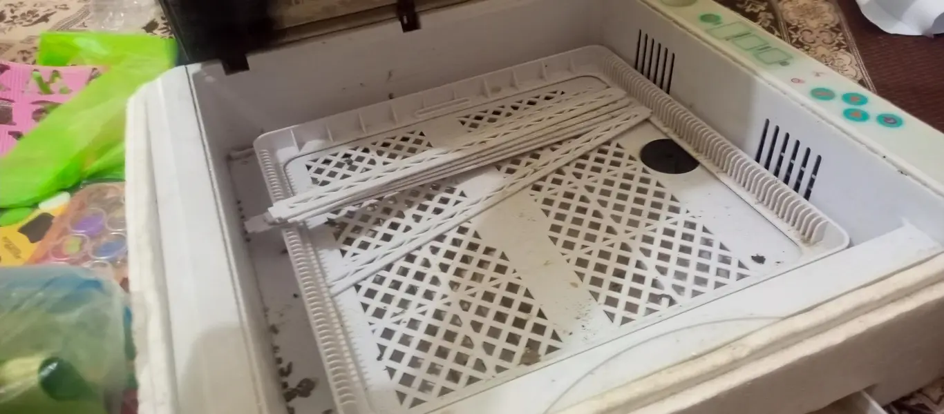 Automatic incubator AC 36 Eggs capicity — photo 3