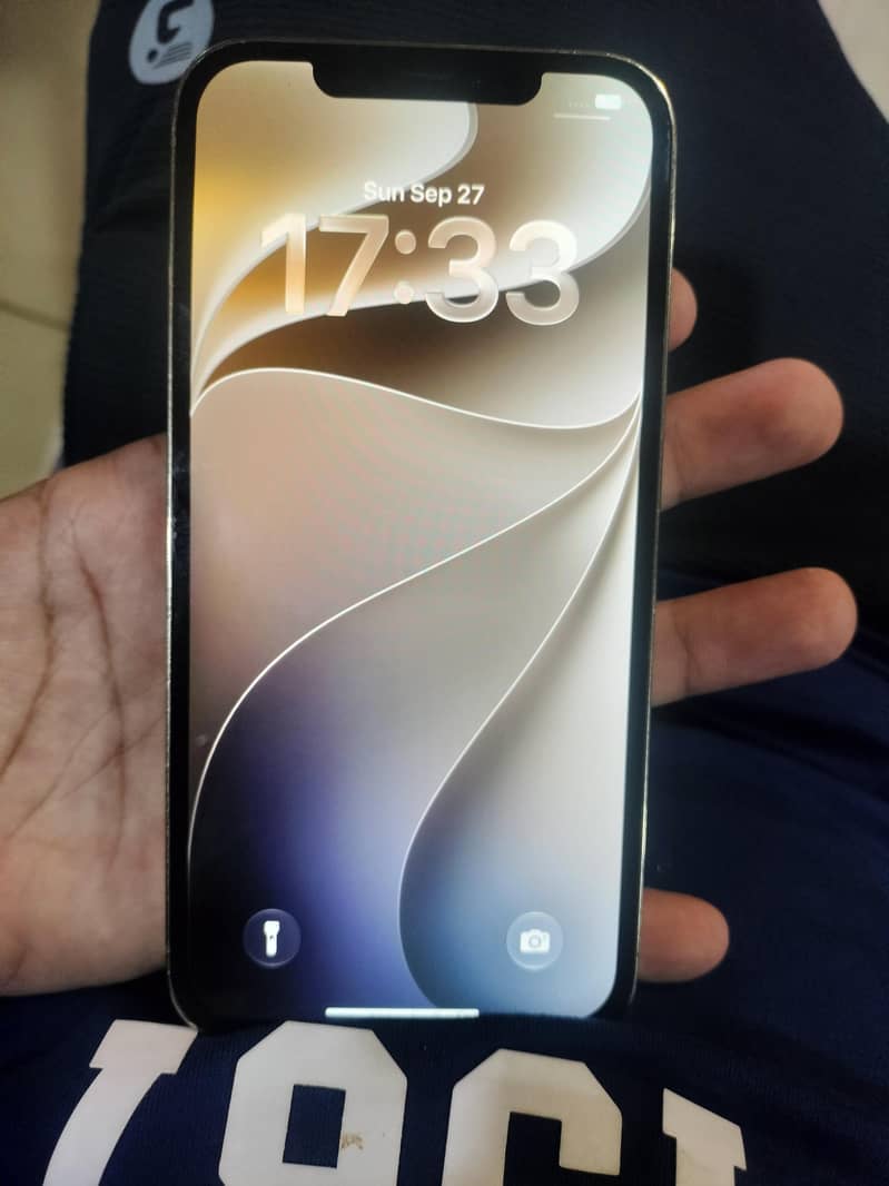 Apple iPhone 12 Pro Max 2