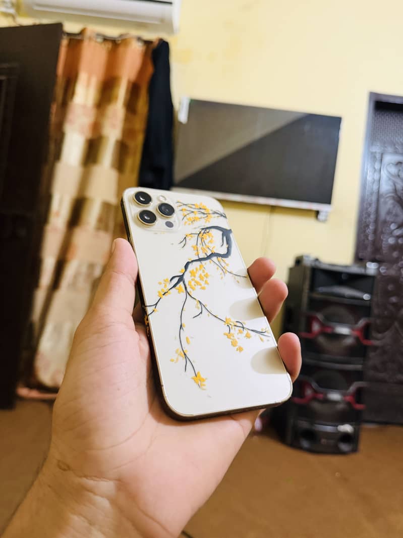 Apple iPhone 12 Pro Max 0