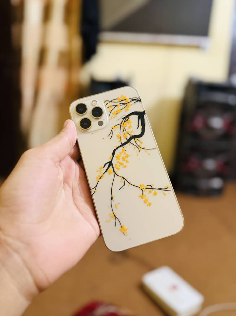 Apple iPhone 12 Pro Max 1
