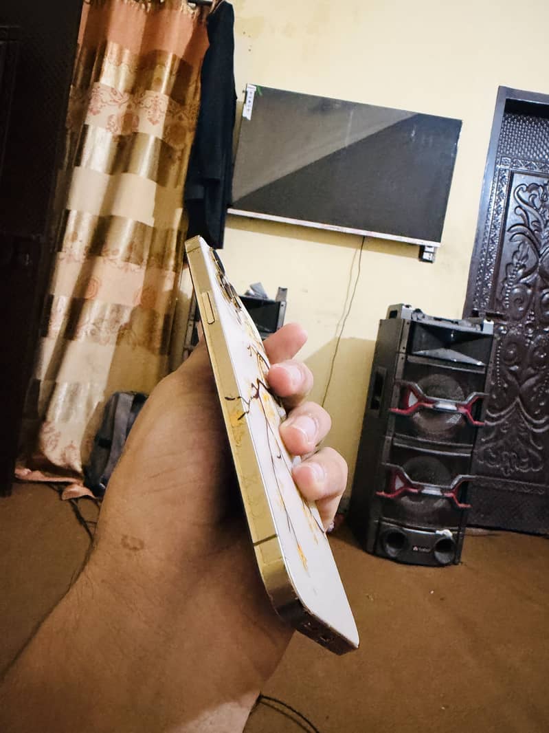 Apple iPhone 12 Pro Max 2