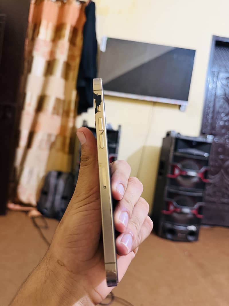 Apple iPhone 12 Pro Max 4