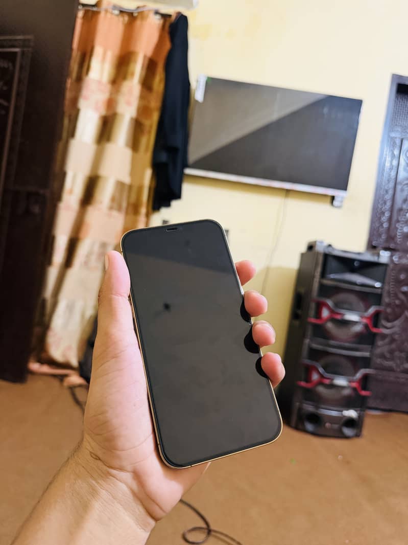 Apple iPhone 12 Pro Max 5