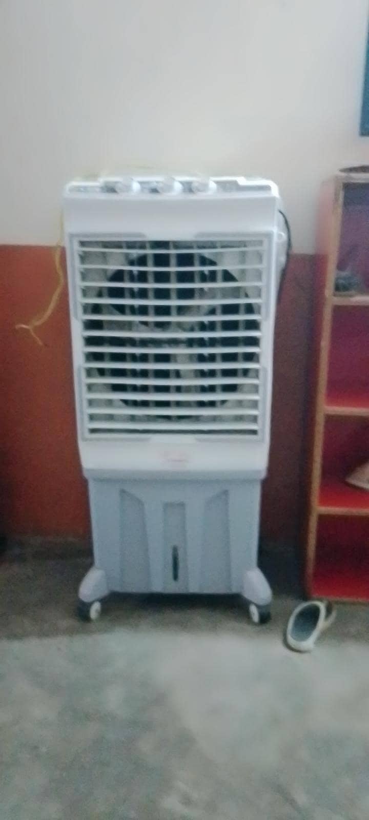 ayanz 4