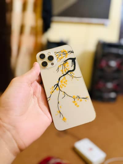 Apple iPhone 12 Pro Max factory unlocke 10/10