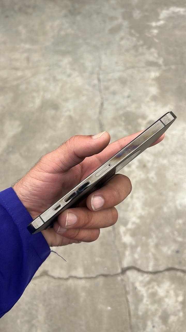 Apple iPhone 13 Pro Max 2