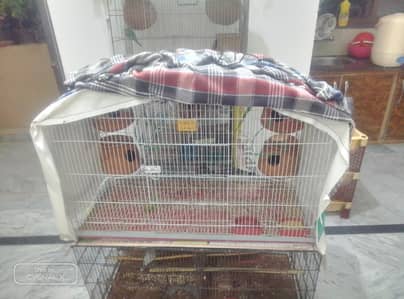 Cage For Sale