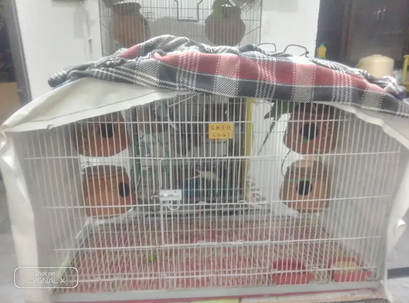 Cage For Sale — photo 2
