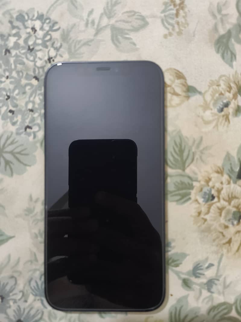 Apple iPhone 12 1
