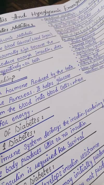 Assignment Writting