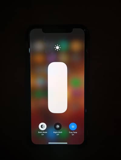 Apple iPhone XS