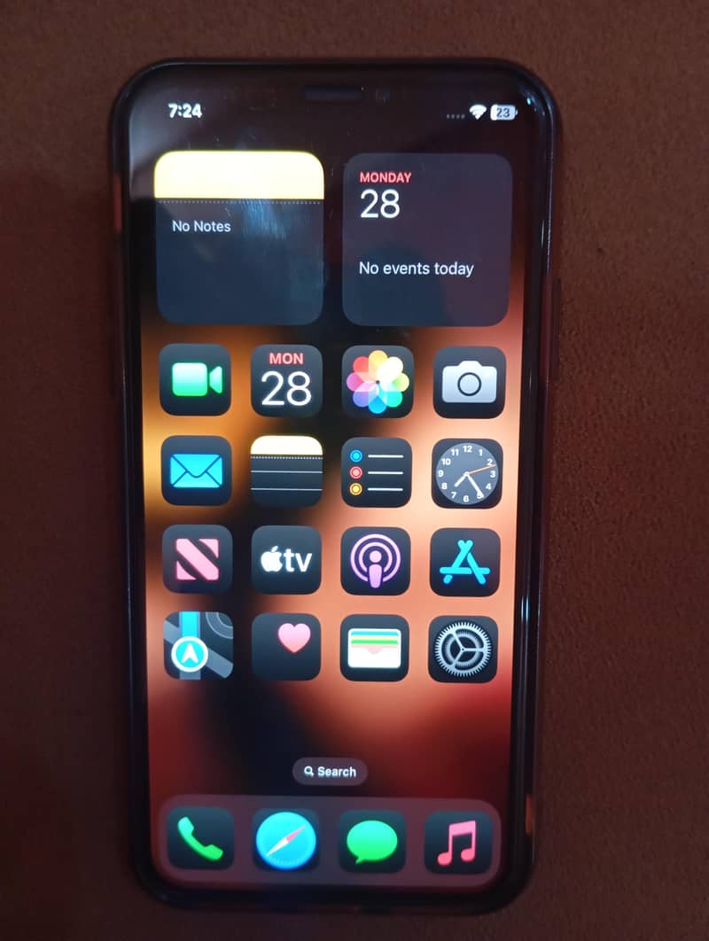 Apple iPhone XS 1