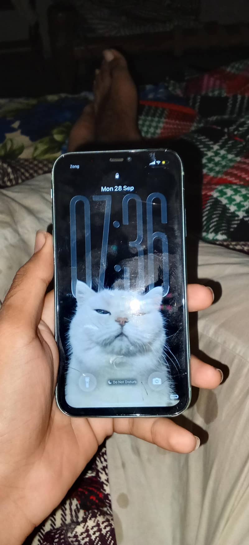 Apple iPhone 11 0