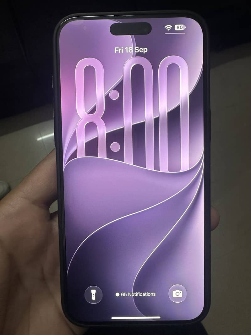 Apple iPhone 15 Pro Max 1