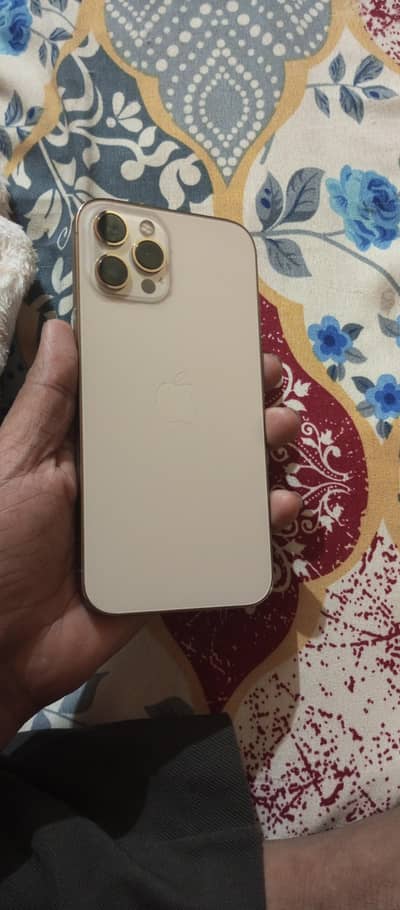 Apple iPhone 12 Pro Max