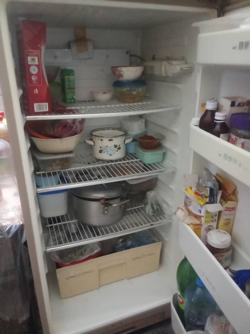 fridge 2