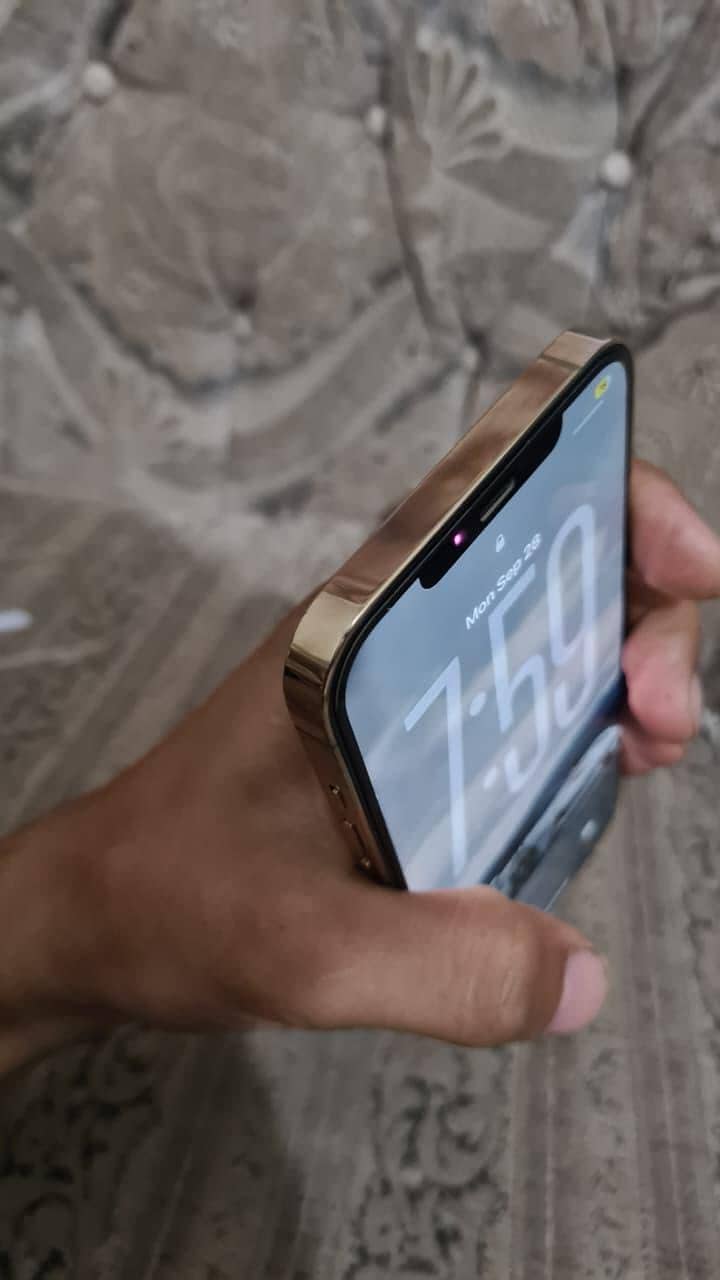 Apple iPhone 12 Pro Max 1
