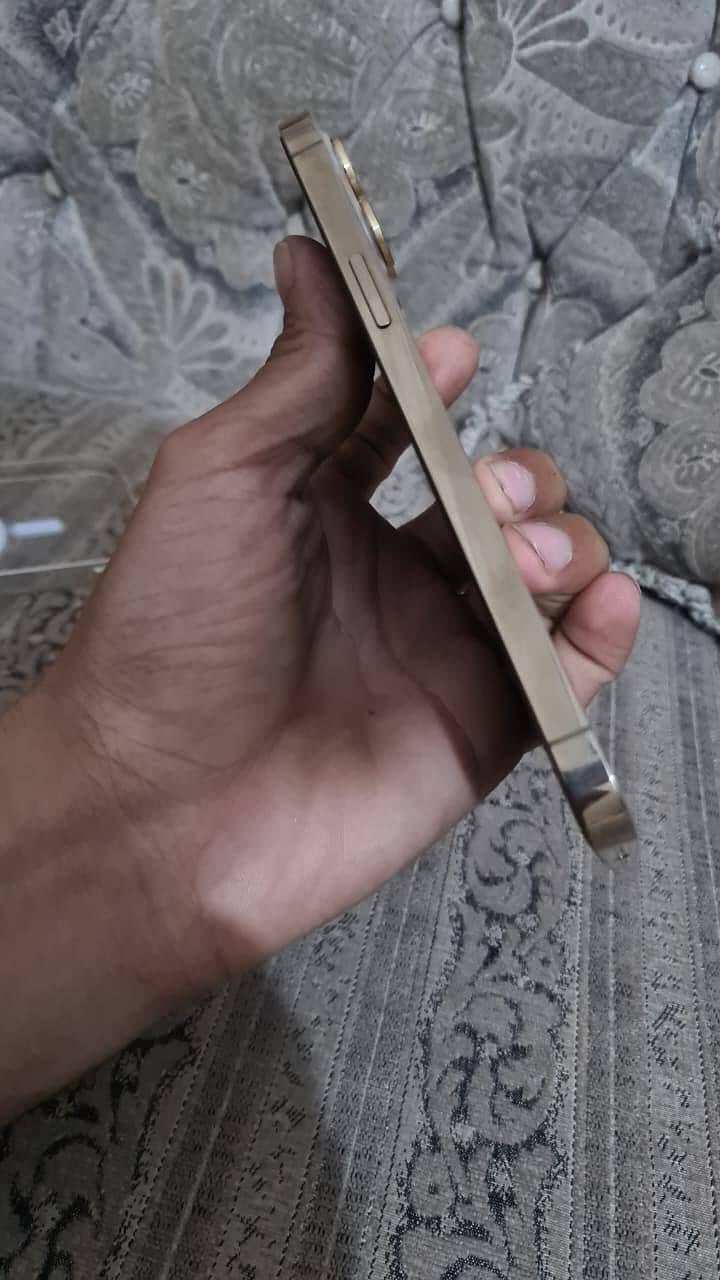 Apple iPhone 12 Pro Max 4