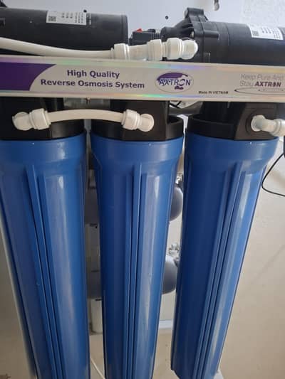 water plant 03006666878