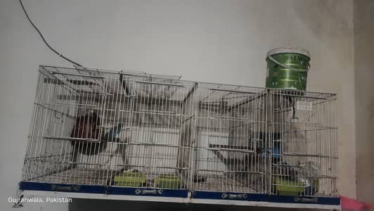 Birds cage animal cage 4foot ka hai