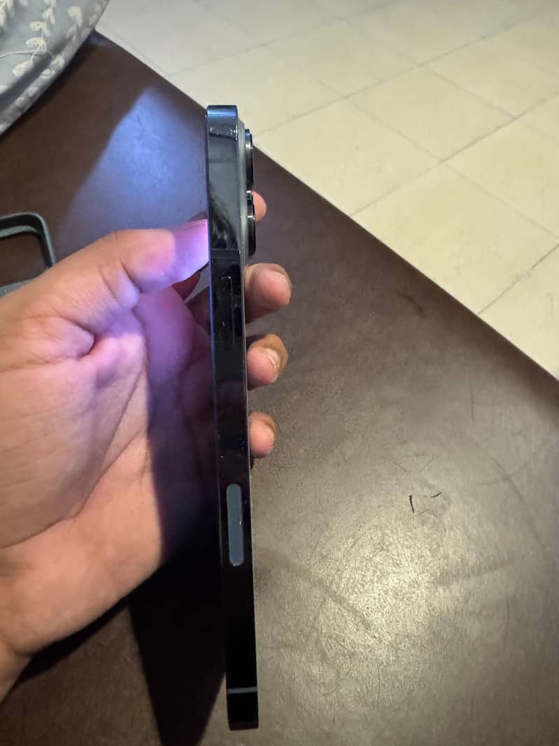 iPhone 13 Pro Max FU 5