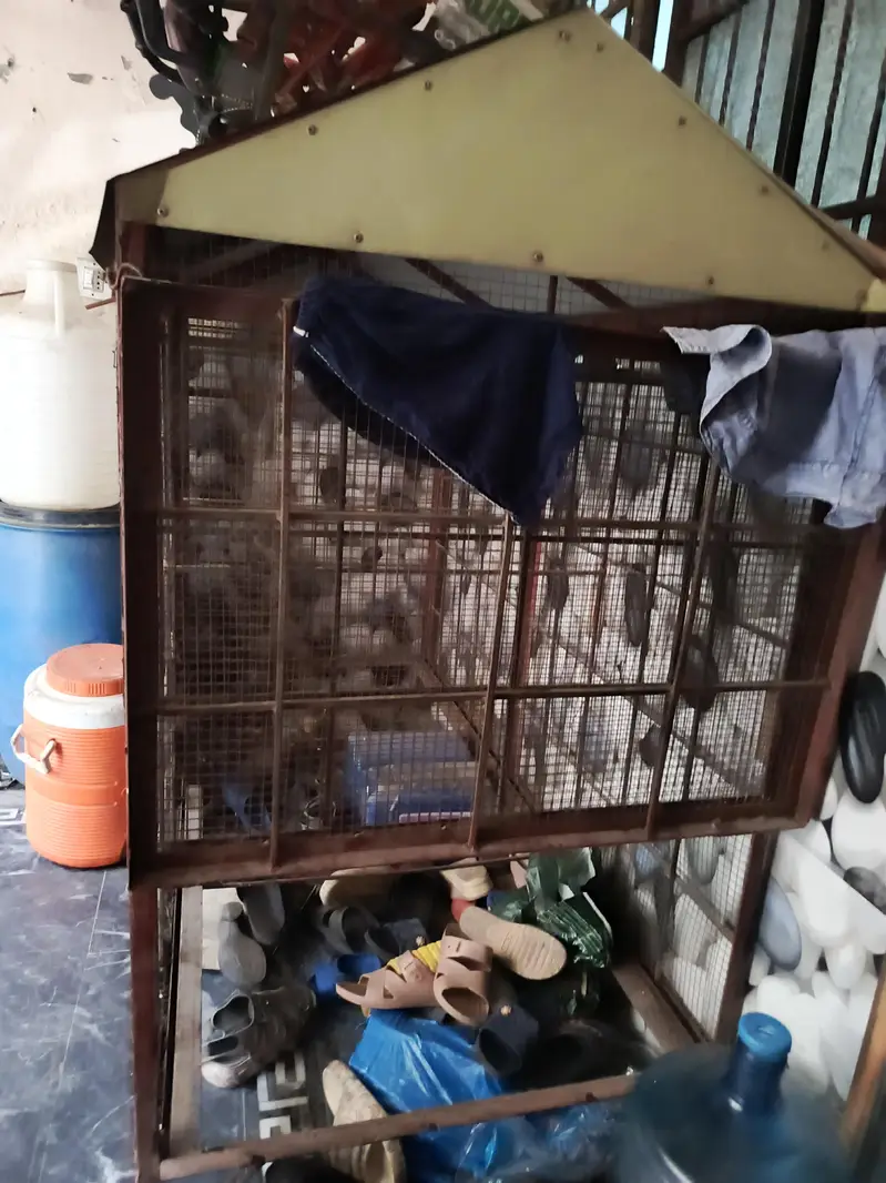 iron cage — photo 2