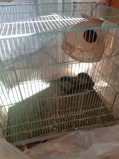 cocktail cage