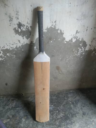 coconut bat