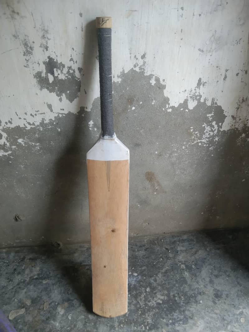 coconut bat 0