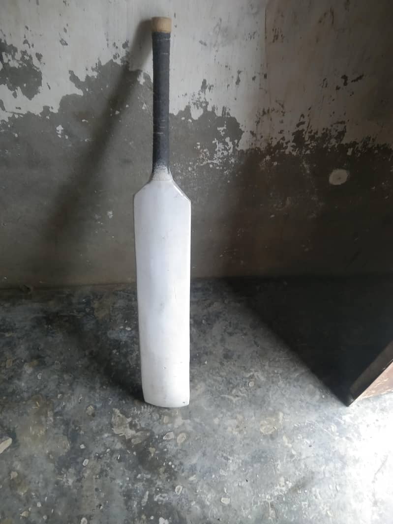 coconut bat 1