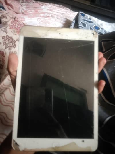 ipad mini2