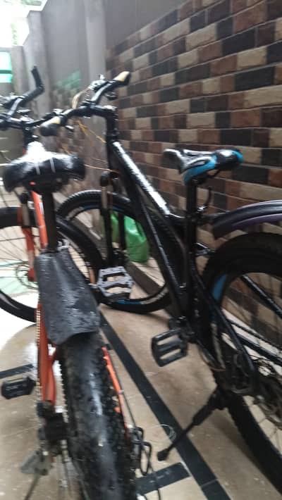 mountain bikes