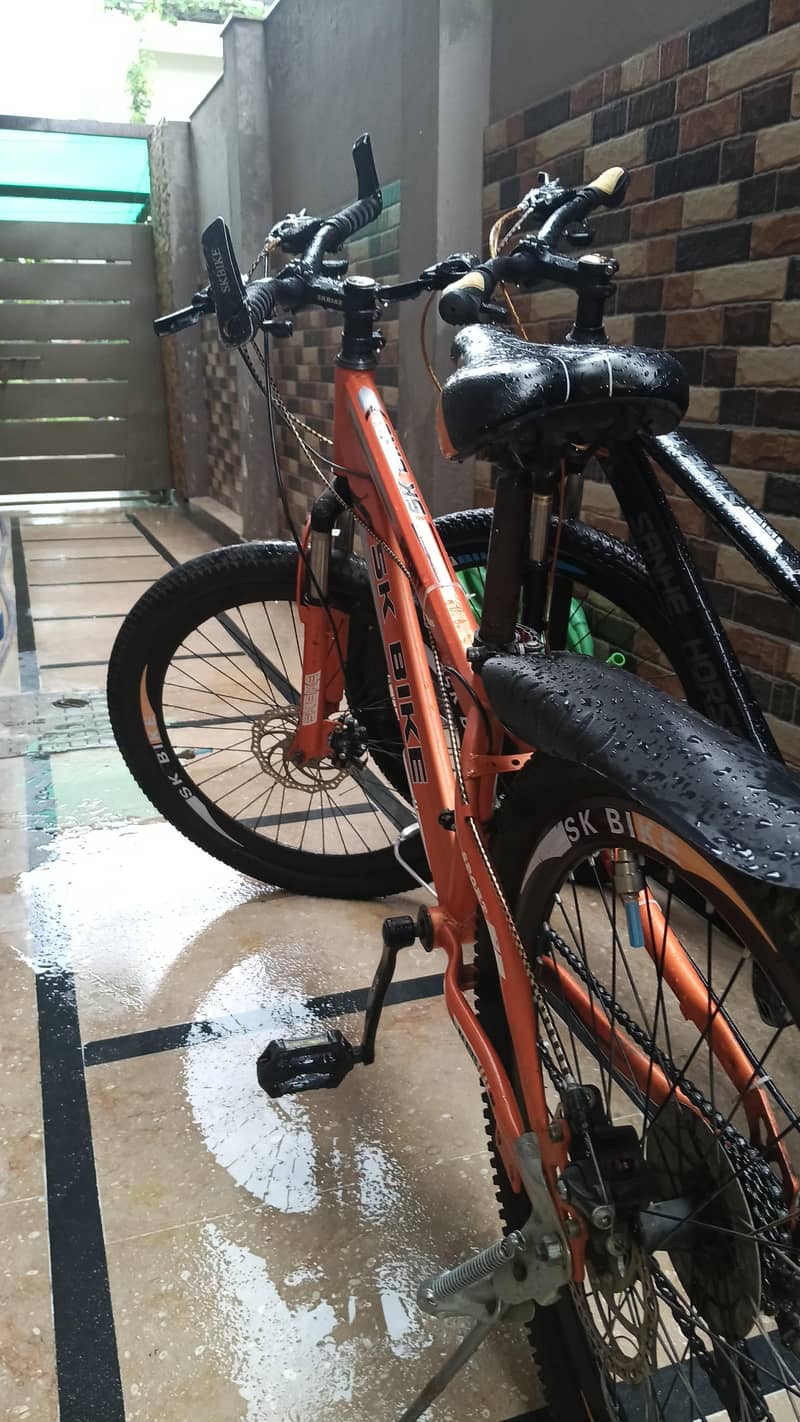 mountain bikes 1