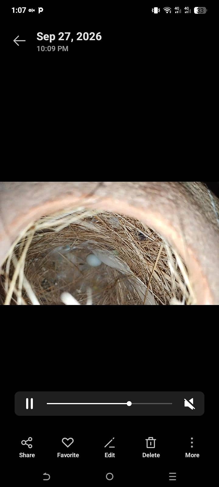 Finch 7
