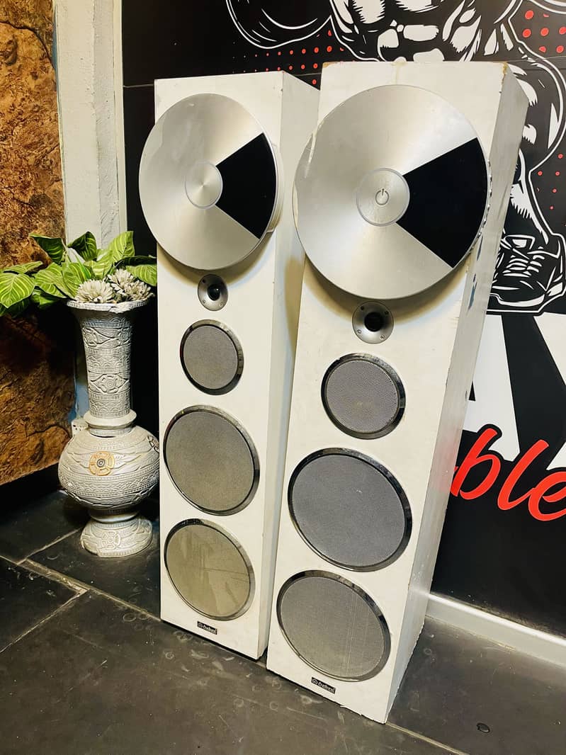 Audionic speaker used 1
