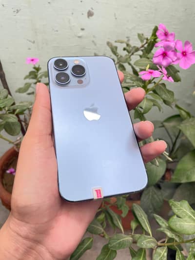 Apple iPhone 13 Pro