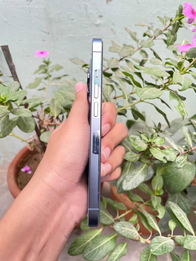 Apple iPhone 13 Pro 1