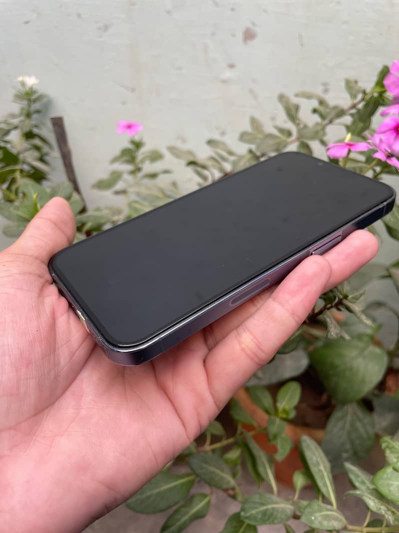 Apple iPhone 13 Pro 3