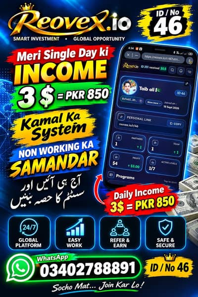 Online Work Daily Earning