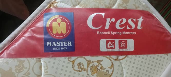 Master Molty Foam used Spring Matress