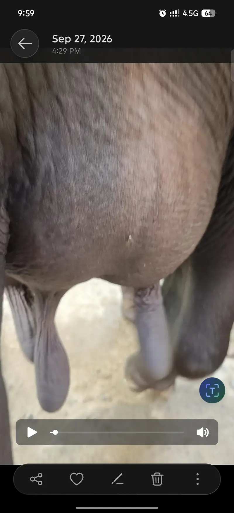 one month ghaban 8kg dodh — photo 4