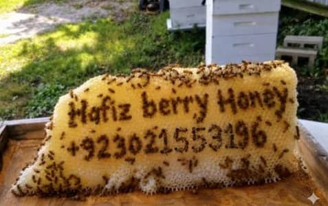 sidr honey desi