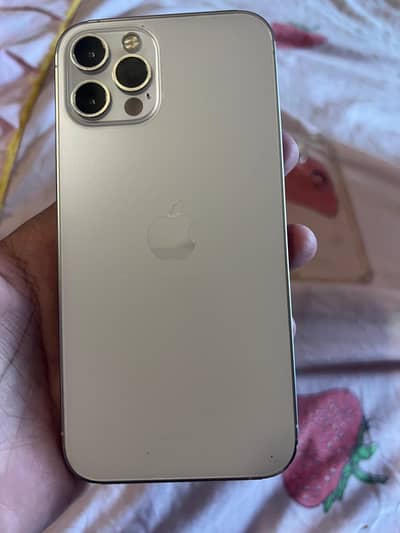 iPhone 12 Pro