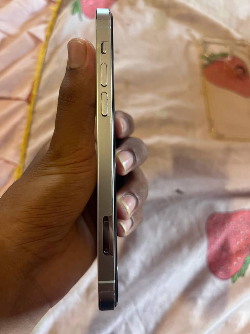 iPhone 12 Pro 1